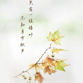 （侯玉婷领读）泪的洪水 - 梧叶不知秋🍂