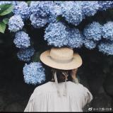 花番茄的夏天