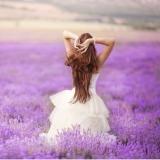 温馨 Lavender