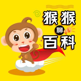 [技能]-一个拥抱救一条生命，这个技能你必须会