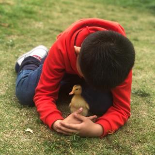 小松鼠找花生🥜 小柚子录的第一个完整的故事