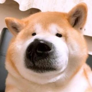 【一封情书】在线收听_玉面小肥龙94_荔枝