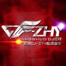 阳朔DJ-ZYH Remix