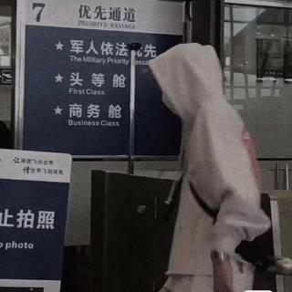 现代诗《品吊兰》