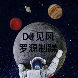 DJ见风-Prog House不做情人的老鼠MM串烧