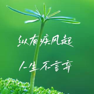 《与自己和解》23--你的拧巴源于总在自己的世界里假装做自己