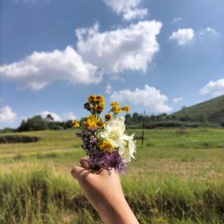 《竹节人》16～33页前一段