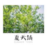 夏天镇 SummerTown