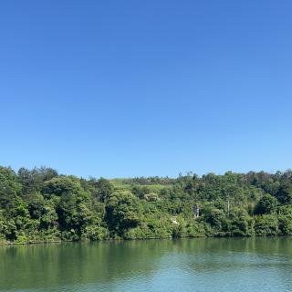 汤雨珊《黄狗和狐狸》